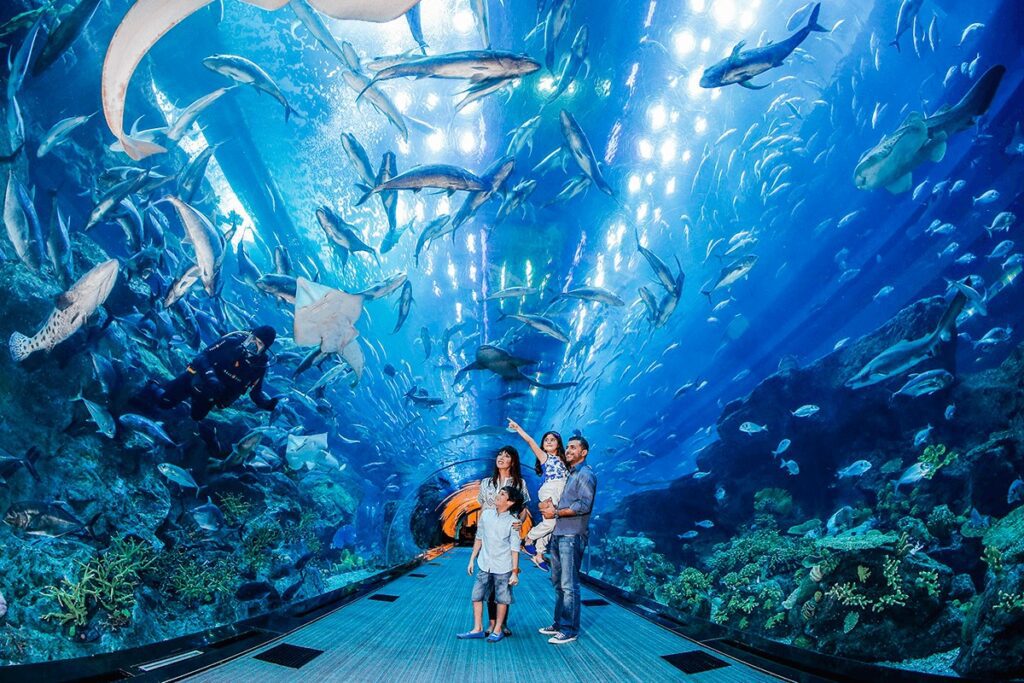 Dubai Aquarium at Dubai Mall