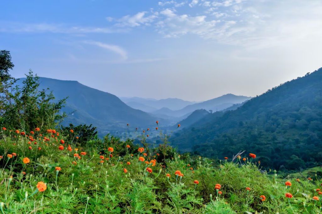 Araku Valley: A Paradise in Andhra Pradesh