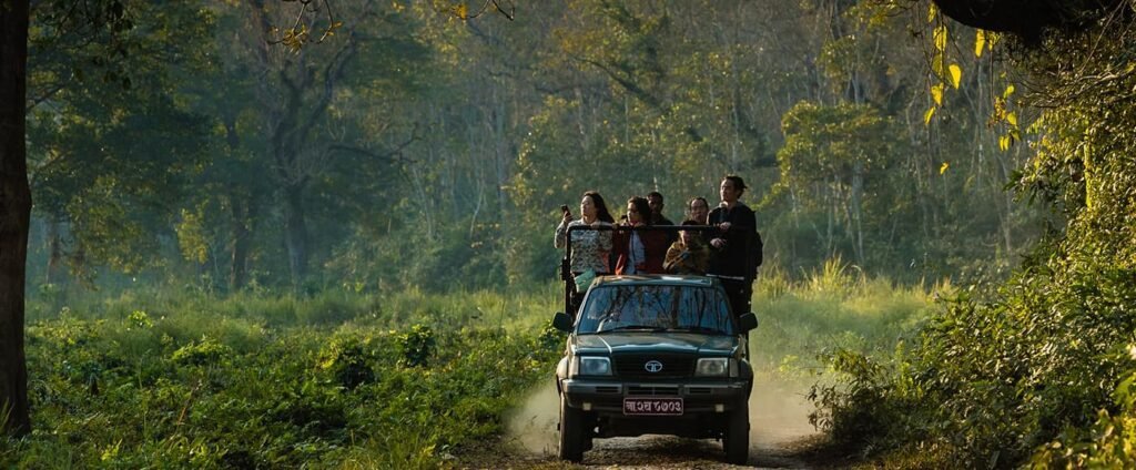Jungle Safari