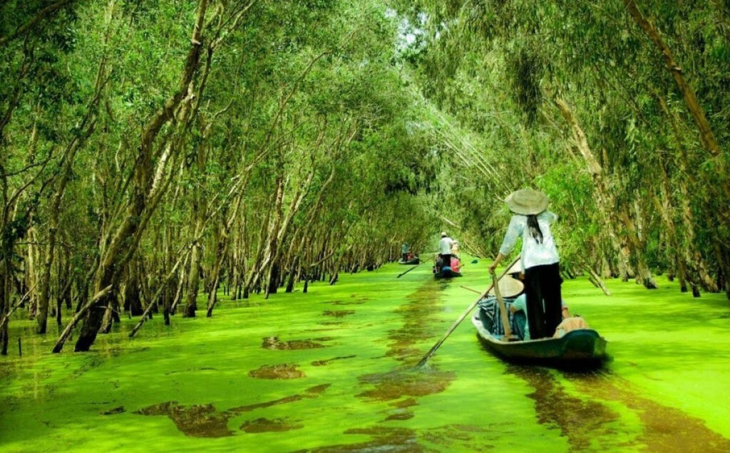 Mekong Delta