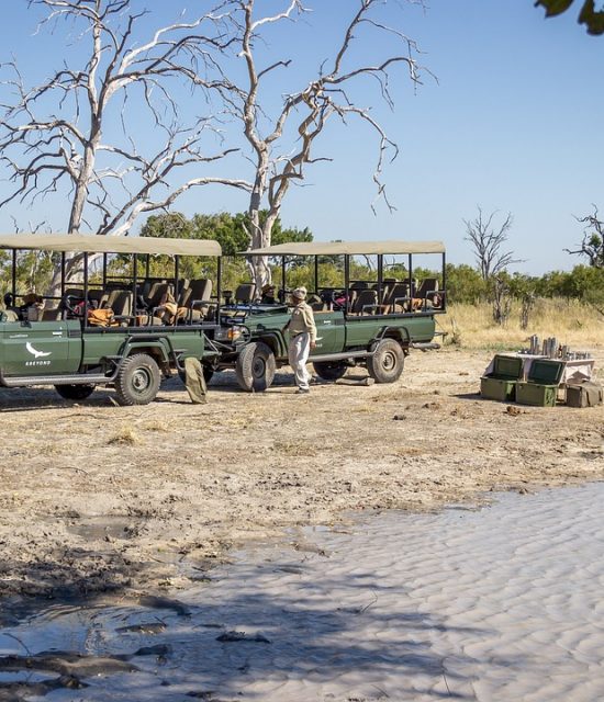 safari, 4x4, botswana-5028288.jpg